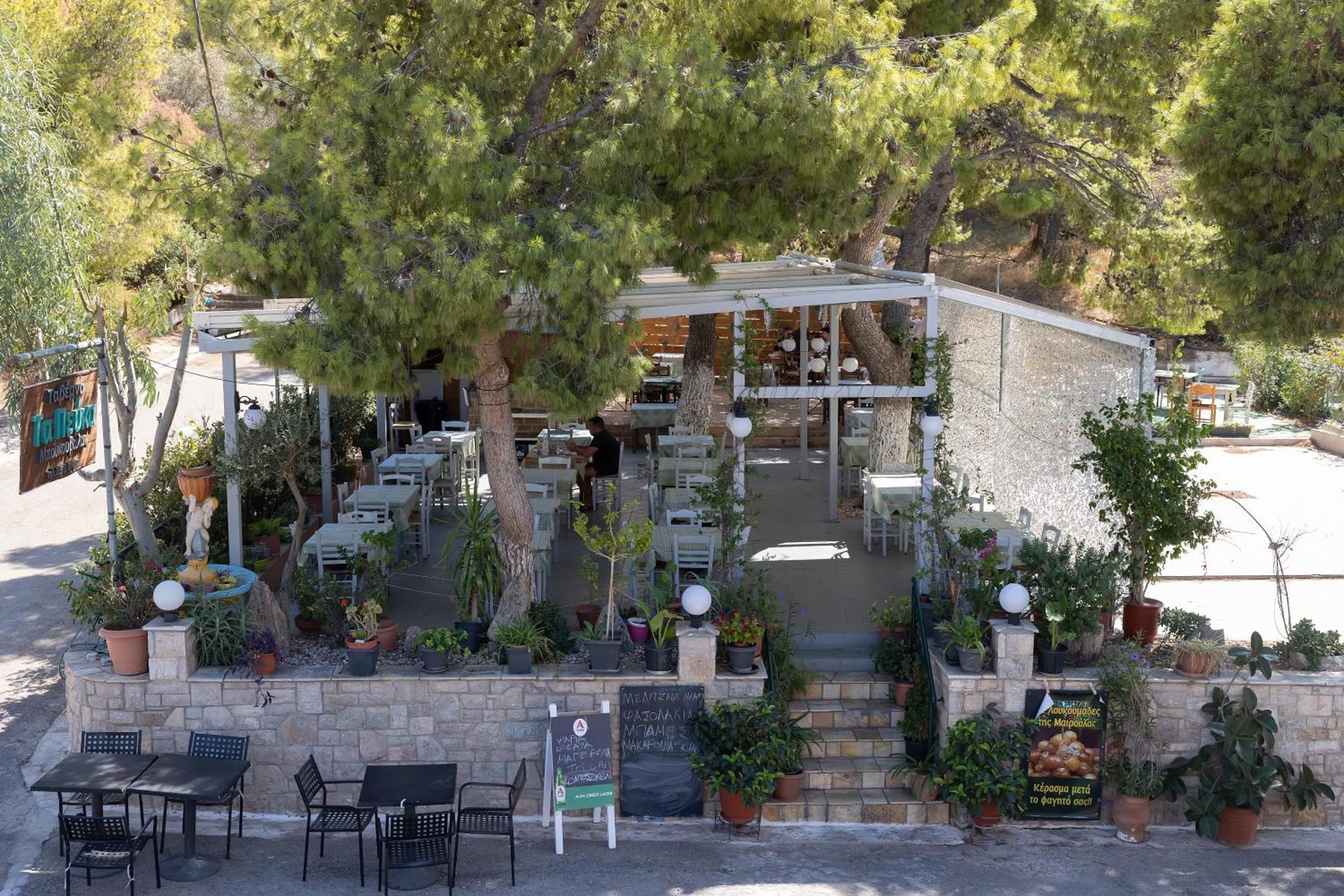 The Pines Palaia Fokaia