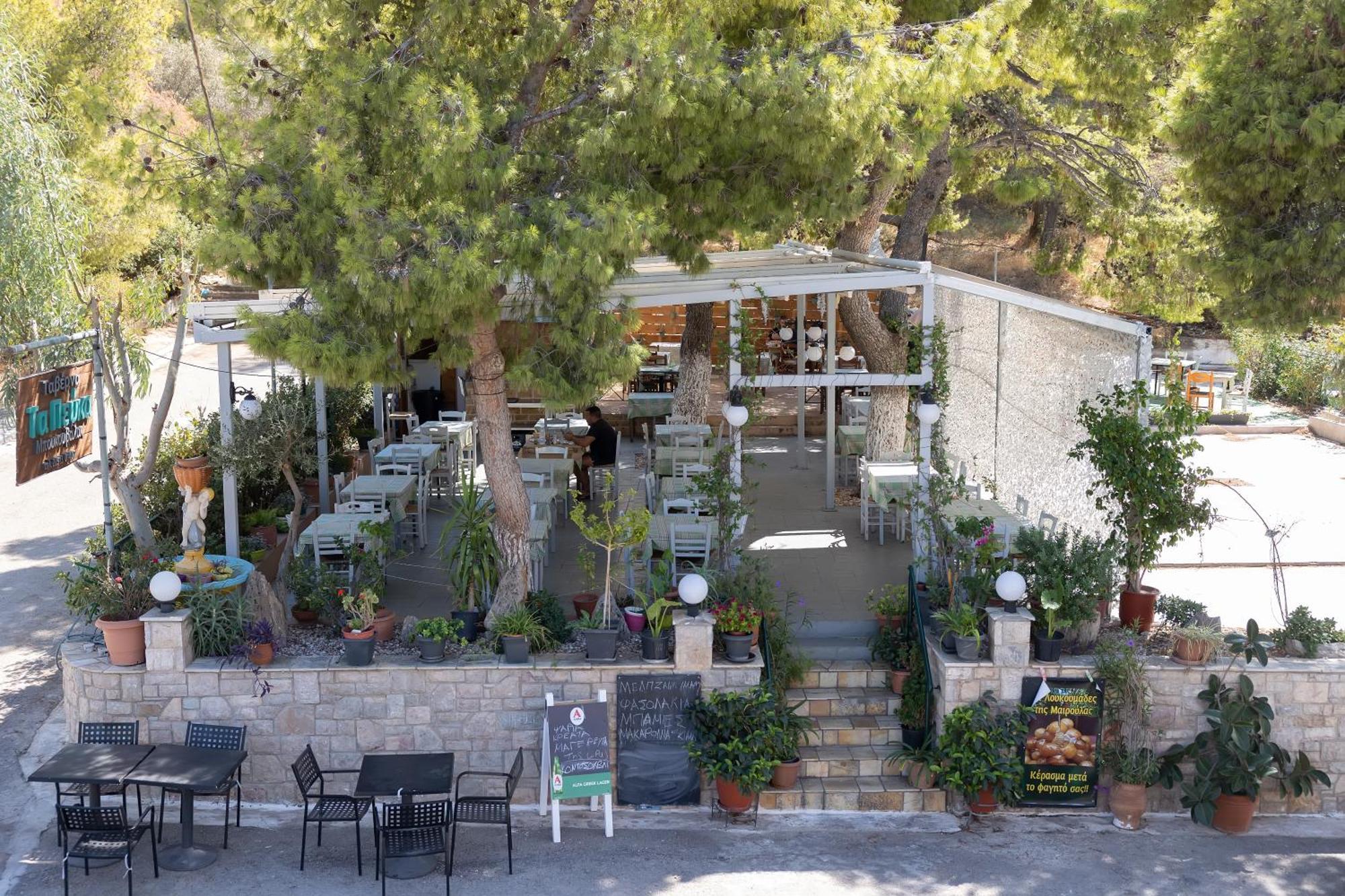 The Pines Apartment